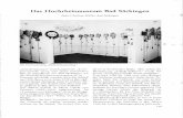 Das Hochrheinmuseum Bad Säckingen - badische-heimat.debadische-heimat.de/wp-content/uploads/2019/03/1988_1_saeckingen_museen.pdf · den (Knochen vom Mammut, Ren, Höhlen bär und