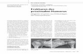 2 Frakturen des proximalen Humerus - Home - Springer · cumflexa humeri anterior (. ... Des Weiteren spielen in der Fraktur-situation Äste der A. circumflexa anteri-or und A. circumflexa