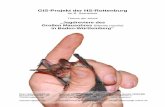 GIS-Projekt der HS-Rottenburg · Die Chiroptera sind in zwei Unterordnungen, die Microchiroptera (Kleinflatterer) und die Megachiroptera (Flughunde) aufgeteilt. 3 Das Große Mausohr