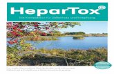HeparTox - ifu-wolfhagen.de · Dann entscheiden Sie sich für die Hepar- Tox ... Umweltfaktoren werden für ca. zwei Drittel aller Krebserkrankungen mit verantwortlich gemacht. Auch