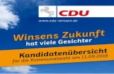  · Sie halten eine Übersicht der Winsener Bürgerinnen und Bürger, die sich am 11. September für die CDU um ein Mandat im Winsener Stadtrat und im Kreistag bewerben,