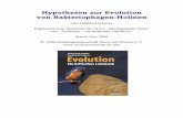 Hypothesen zur Evolution von Bakteriophagen-Holinen · 2 Hypothesen zur Evolution von Bakteriophagen-Holinen bel erscheinen lassen? Und wie könnte man sich die Entstehung eines Holingens