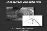 Was ist Angina pectoris? - meinherzdeinherz.info · Stabile Angina pectoris: „Stabil“ bedeutet, daß Angina pectoris immer unter denselben Umständen auftritt. Da-bei ist zu beachten,