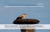 Tierschutz beim Nutzgeﬂ ügel - vetevent.net · 11:00 EsBL und MRsA Monitoring bei Elterntieren in österreich PD Dr. Burkhard springer I Ages Graz 11.30 Aktuelle zahlen zum Antibiotikaverbrauch