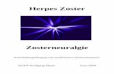Herpes Zoster - ahop.at Zoster_Graz-2005.pdf · Herpes Zoster ist eine virale Erkrankung als Zweitinfektion mit dem Varizella Zoster Virus. In der vorliegenden Arbeit wird der Herpes