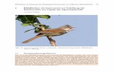 5 Blühflächen: ein Instrument zur Erhöhung der ... · Blühflächen: ein Instrument zur Erhöhung der Biodiversität von Vögeln der Agrarlandschaft 81 Landwirtschaft und deren