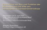 beim „Mikroskopischen Kollegium Bonn“ · Benedikt Westemeyer Kardinal-Frings-Gymnasium, Q1 Präsentation am 21. April 2016 beim „Mikroskopischen Kollegium Bonn“ im Steinmann-Institut