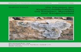 Die Flechten der metallhaltige Substrate angepasst, wie ...botanischer-verein-sachsen-anhalt.de/wp-content/uploads/2016/06/... · Impressum Mitteilungen zur floristischen Kartierung