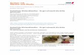 Herbstliche Küchenklassiker - So gut schmeckt die dritte ... · Samstags um 17:45 Uhr Rezepte.wdr.de © WDR 2018 Seite 4 von 14 Sahnige Zwiebeln zum Geschnetzelten Ideal für die