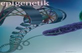 epigenetik - Universität Stuttgart · ˜˚˛˝˙5 Abb. 3 Struktur des katalytischen Bereichs der MLL3-Histon-Methyltransferase. Das Substratpeptid ist in Orange dargestellt, der