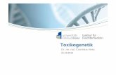 Toxikogenetik - Institut für Rechtsmedizin · 21.10.2015 Seite 5 Übersicht • Aufbau und Struktur der DNA • Vererbung • Stoffwechsel von Fremdstoffen • Phase-I-Enzyme •