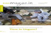 Warum kümmert sich KAGfreiland um file Zeitschrift von der schweizerischen Nutztier-schutz-Organisation für Kuh, Schwein, Huhn & Co. Warum kümmert sich KAGfreiland um