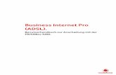 Benutzerhandbuch Business Internet Pro (ADSL) · 1 gelbes LAN-Kabel mit RJ-45-Westernsteckern auf beiden Seiten 1 hellgraues DSL-Kabel mit 2 RJ-45-Steckern 1 hellgrauer Adapter DSL