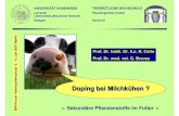 UNIVERSITÄT HOHENHEIM TIERÄRZTLICHE HOCHSCHULE · Doping bei Milchkühen? Sekundäre Pflanzenstoffe im Futter - Präsentation vom 5. Juli 2007 Sekundäre Pflanzenstoffe im Futter