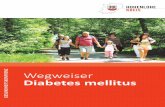 Z Wegweiser Diabetes mellitus - hohenlohekreis.de · Der Diabetes mellitus Typ 2 kann sich von einer vorwiegenden Insulinresistenz mit relativem Insulinmangel bis zu einem vorwiegend