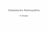 P.Walter - ukaachen.de · Diabetes mellitus-Häufigste Erblindungsursache in den industrialisierten Ländern-Häufigster Grund für neue Erblindungen zwischen 20 – 64 Lebensjahr