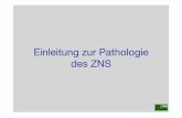 Einleitung zur Pathologie des ZNS - patho.vetmed.uni ... · Pathologie ZNS Mikroglia (1) (veraltet auch Hortega-Zellen bzw. Mesoglia) - Zellen übernehmen im ZNS die Funktion von