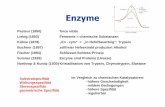 Enzyme - blogs.uni-mainz.de .Theorie des œbergangszustandes spontane Reaktion Enzyme binden nicht