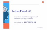 Innovatives Liquiditätsmanagementauf Basis von ...softmark.de/download/a46iohdn7l0d077ptcp5rp4quht/Intercash.pdf · Copyright SOFTMARK AG Schaubild 16 Modul Händlereinkaufsfinanzierung