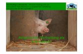 Artgerechte Tierhaltung als Alternative - bfn.de · PDF file27.08.2013 NEULAND e.V. Verena Preußner Artgerechte Tierhaltung als Alternative? Nachhaltige Lebensstile –Welchen Beitrag