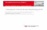Handbuch Interne Kontrollsysteme (IKS) - media.frag-den ... · Qualitätssicherung SGB II JUNI 2013, ZENTRALE, BM 12 - II-4007/ II- 5105/ II-8701 INTERN Handbuch Interne Kontrollsysteme