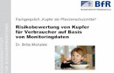 Risikobewertung von Kupfer für Verbraucher auf Basis von ... · EFSA Scientific Report (2008) 187, 1-101, Conclusion on the peer review of copper compounds Britta Michalski, Fachgespr