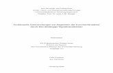 Funktionelle Untersuchungen zur Regulation der ...ediss.sub.uni-hamburg.de/volltexte/2006/2878/pdf/Dissertation_Felix_Friedrich.pdf · 2 Einleitung 7 gestört, so kann dies, wie z.