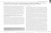 Quantifizierung des Holzverbrennungsbeitrages zu PM10 in ... · PDF fileS. Clemen, C.-L. Tang, A. Kerschbaumer, A. Rauterberg-Wulff, K. Grunow, H. Kaupp Zusammenfassung Emissionen