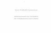 Informationen zur Facharbeit - kalkuhl.dekalkuhl.de/wp-content/uploads/2017/10/Info-Facharbeit-2017.pdf · Anlage 2.1: Beurteilungskriterien der Facharbeit am EKG (Nicht-Fremdsprachen)