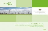 Leitfaden Artenschutz an Windenergieanlagen in Sachsen-Anhalt · SACHSEN-AN HALT Ministerium fr Umwelt, Landwirtschaft und Energie Leitfaden Artenschutz an Windenergieanlagen in Sachsen-Anhalt