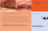 Falk Gastro-Kolleg Darm - drfalkpharma.de · (Clarithromycin, Erythromycin) oder Azolen (Ketoconazol, Fluconazol, Itraconazol) das Risiko systemischer Nebenwirkungen der topischen