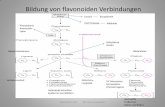 Bildung von flavonoiden Verbindungen - experchem.com · ExperChem Ltd. (Dr. Henry Haeusler) 7 PROTEASOM Das Proteasom ist einer der entscheidenden Mechanismen zur Verteidigung des