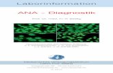 ANA - Diagnostik · Krankheiten Autoantikörper Sens [%] Spezifität Systemische ANA-IIFT 95 nieder Sklerodermie Scl-70 50 - 60 hoch (SSC) RNA-Pol. I-III 8 - 10 hoch