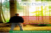 Paulownia Pflege · Mehr Vielfalt, Paulowniaholz Anliefergng an Standort Schutz und Ertrag Vielfalt ForstPlus fördert die Artenvielfalt von Wäldern und erweitert den Lebensraum