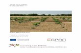 ARGE PAULOWNIA im Dezember 2012 - espan.at · Paulownia kann auf armen und verunreinigten Böden wachsen, da sie den Boden von Schwermetallen und anderen schädlichen Salze reinigt