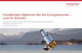 Flexibilitäts-Optionen für die Energiewende und ihr Einsatz · Flexibilitäts-Optionen für die Energiewende – und ihr Einsatz Impuls für die AG „Flexibilität“ beim Bayerischen