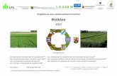 Bericht ÜLSV WD 2016 2. HNJ - tll.de · 2017_RKL_ÜLSV_1 9 / 70 Anbauflächen und Entwicklungstendenzen in Bayern In den letzten Jahren ist anhand der Absatzzahlen im Bereich der