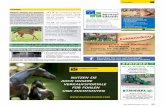 »Präsentation und Verkauf« Hemmoor - hannoveraner.com · Gemeinsam sind wir stark! Rein in’s Pferdevergnügen! Großes Reit- und Springturnier vom 13. bis 16. Juni 2019 in Bargstedt