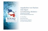 Aquakultur von Fischen und Algen in Schleswig-in Schleswig ... · PDF fileAquakultur von Fischen und Algen in Schleswig-in Schleswig ---Holstein Holstein Holstein –––– Schlüsseltechnologien