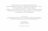 Mus musculus; Linné, 1758) nach Kainat- induziertem Status ...ediss.sub.uni-hamburg.de/volltexte/2012/5671/pdf/Dissertation.pdf · Abstract The intrinsic excitability of neurons
