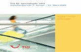 Zwischenbericht 1. Januar – 31. März 2005 TUI AG ... · Mitarbeiter (31.3.) 9 534 9 653 - 1,2 1) Ergebnis vor Ertragsteuern, Zinsen und Abschreibungen Im Bereich Europa Mitte (Deutschland,