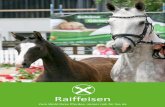 Raiffeisen - rhmh.de · Raiffeisen präsentiert Ihnen die passende Zaunlösung für Ihr Pferd. Als Pferdehalter will man sich auf den sicheren Weidezaun verlassen. Vielfältige Weidezaunvariationen,