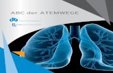 ABC der Atemwege - lungeninformationsdienst.de · akut plötzlich auftretend akute Bronchitis plötzlich auftretende Entzündung der Schleimhäute der Bronchien, die in den meisten