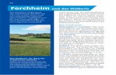 Rund ums Walberla - michael-mueller- · PDF fileReisberg 546 St. Moritz Walburgis-kapelle Sankt Bartholomäus Sportﬂugplatz Forchheim Forchheim Ebermannstadt Pretzfeld Pretzfeld