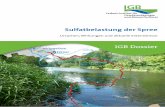 Gewässer - igb-berlin.de · Das gelöste Sulfat verbleibt aber „unsichtbar“ im Gewäs- ser und wird weiter flussabwärts transportiert, wodurch es zu einer Entkopplung des Schwefel*-