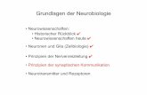 Grundlagen der Neurobiologie - neurobio-therapie.de · Grundlagen der Neurobiologie • Neurowissenschaften: • Historischer Rückblick • Neurowissenschaften heute • Neuronen
