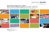 Datenreport zum Berufsbildungsbericht 2012 · Das Bundesministerium für Bildung und Forschung (BMBF) hat die gesetzliche Aufgabe, Entwicklungen in der beruflichen Bildung zu beobachten
