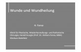 Klinik für Plastische, Wiederherstellungs-und Ästhetische ...blog.pndl.de/wp-content/uploads/2012/04/Wunde-und-Wundheilung1.pdf · Wunde und Wundheilung H. Fansa Klinik für Plastische,