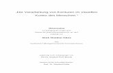 Die Verarbeitung von Konturen im visuellen Kortex des ...elib.suub.uni-bremen.de/publications/dissertations/E-Diss1347_Schira.pdf · 3 Probanden in vivo zu untersuchen. Dabei ist