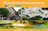 AllgemeinesNachrichtenblatt für Geismar & Treuenhagen · Allgemeines Nachrichtenblatt für Geismar & Treuenhagen Juni 2019 4 5 Allgemeines Nachrichtenblatt für Geismar & Treuenhagen